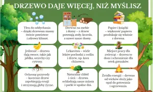 Dzień drzewa pomysły: drzewa dają tlen, jedzenie, lekarstwa, drewno na meble i domy, papier, schronienie dla zwierząt, chłód i energię.