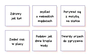 Wyjaśnij znaczenie frazeologizmów: "zdrowy jak koń", "myśleć o niebieskich migdałach", "porywać się z motyką na słońce", "zadać cios w plecy", "podobni jak dwie krople wody", "twardy orzech do zgryzienia".