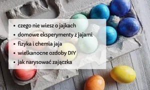 Kolorowe jajka wielkanocne w wytłoczce. Lista pomysłów na zadania wielkanocne: eksperymenty, ozdoby DIY i rysowanie zajączka.