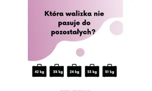 Śmieszne zagadki: Która walizka nie pasuje do pozostałych? Pięć walizek o różnej wadze: 42 kg, 35 kg, 24 kg, 33 kg, 51 kg.