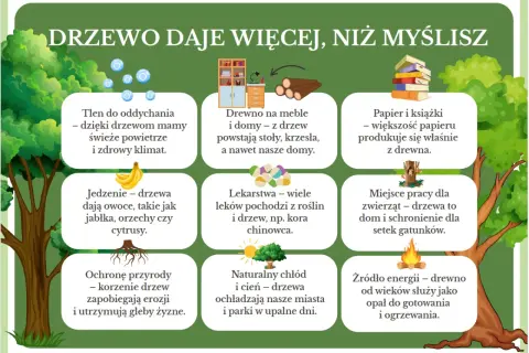 Dzień drzewa pomysły: drzewa dają tlen, jedzenie, lekarstwa, drewno na meble i domy, papier, schronienie dla zwierząt, chłód i energię.