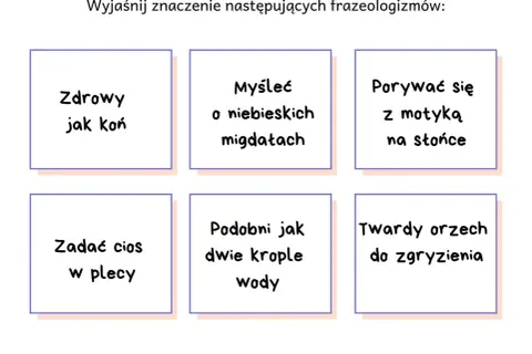 Wyjaśnij znaczenie frazeologizmów: "zdrowy jak koń", "myśleć o niebieskich migdałach", "porywać się z motyką na słońce", "zadać cios w plecy", "podobni jak dwie krople wody", "twardy orzech do zgryzienia".