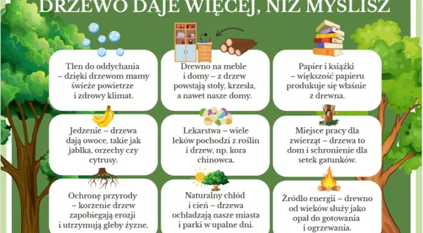 Dzień drzewa pomysły: drzewa dają tlen, jedzenie, lekarstwa, drewno na meble i domy, papier, schronienie dla zwierząt, chłód i energię.