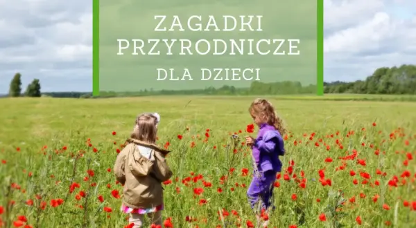 Dwie dziewczynki w kwiecistej łące, odkrywają tajemnice natury. Idealne zagadki przyrodnicze dla dzieci.
