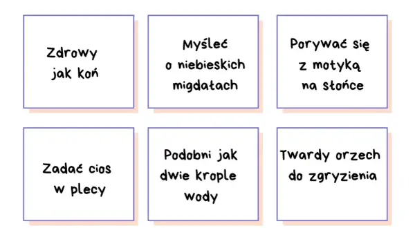 Wyjaśnij znaczenie frazeologizmów: "zdrowy jak koń", "myśleć o niebieskich migdałach", "porywać się z motyką na słońce", "zadać cios w plecy", "podobni jak dwie krople wody", "twardy orzech do zgryzienia".