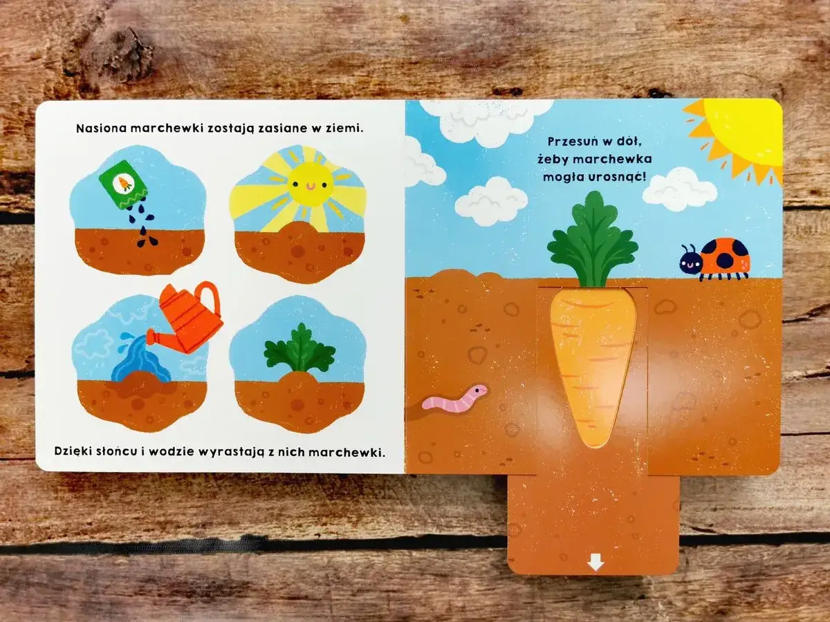 Ilustracja pokazuje, jak rośnie marchewka. To świetne zabawy dla 10 latków, uczące o przyrodzie.