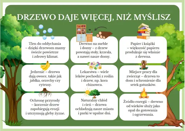 Dzień drzewa pomysły: drzewa dają tlen, jedzenie, lekarstwa, drewno na meble i domy, papier, schronienie dla zwierząt, chłód i energię.